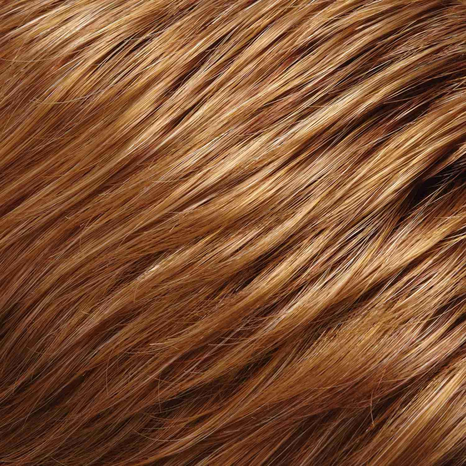 Cameron Large Wig by Jon Renau | Synthetic (Lace Front 100% Hand Tied Mono Top)