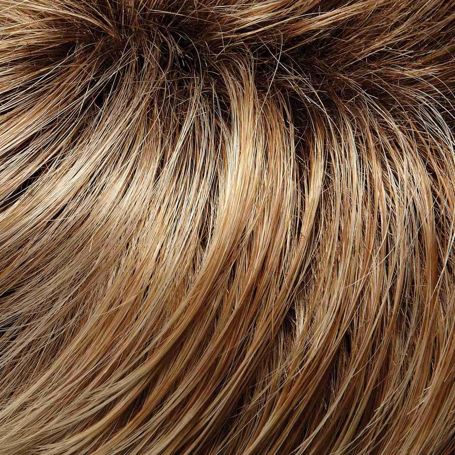 Cameron Large Wig by Jon Renau | Synthetic (Lace Front 100% Hand Tied Mono Top)
