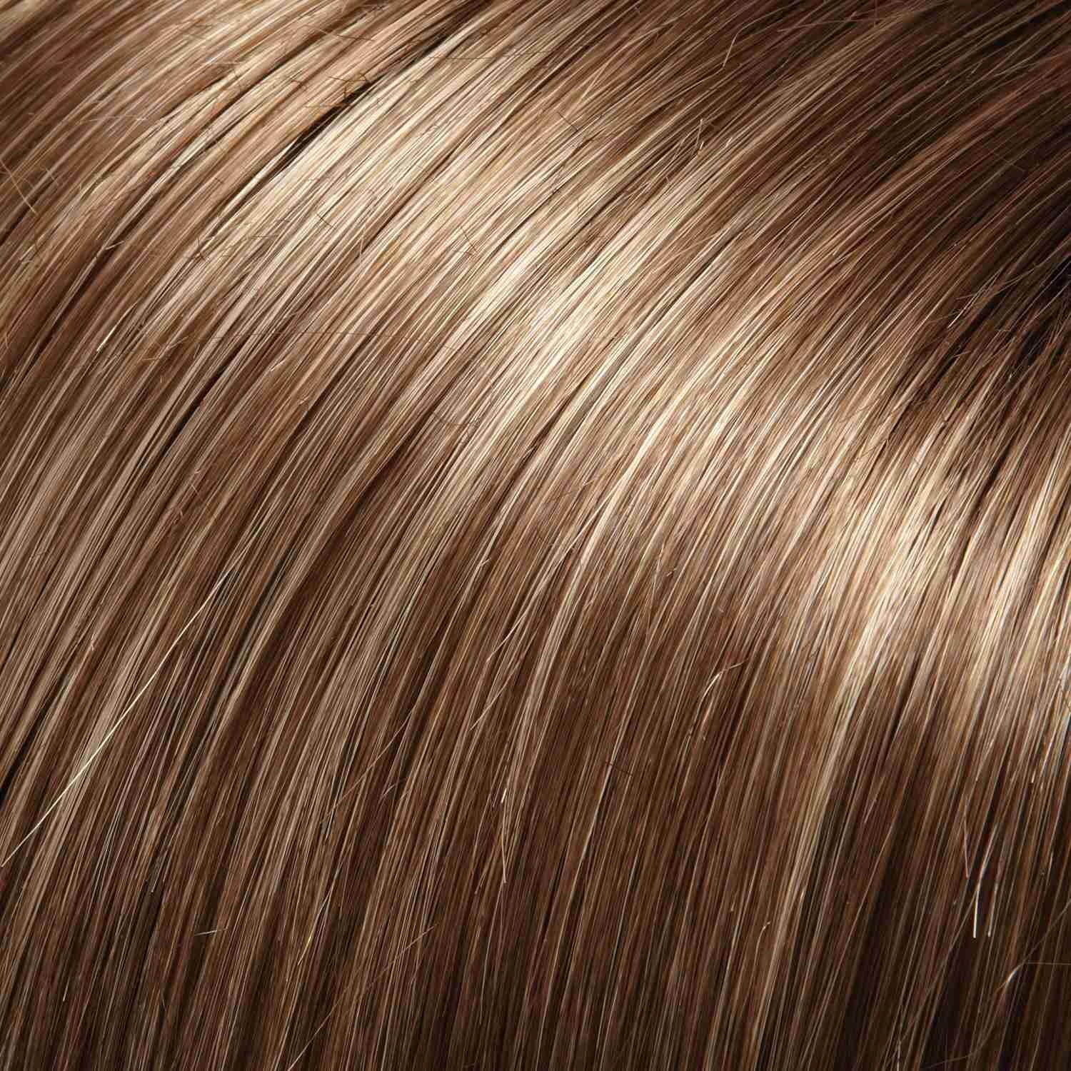 Cameron Large Wig by Jon Renau | Synthetic (Lace Front 100% Hand Tied Mono Top)
