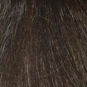 Destiny Wig by Envy | Human Hair Blend (Hand-Tied Mono Top)